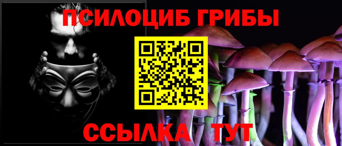 Псилоцибиновые грибы мухоморы Ревда